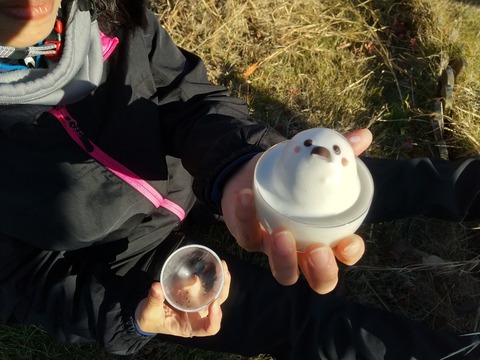 LINE_ALBUM_2024走り納め_241208_20